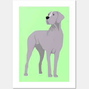 Great Dane Posters and Art